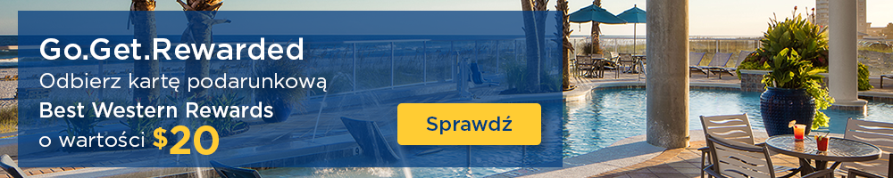 Banner BWR GGR 20usd